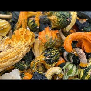 Meet your Posher, Annie